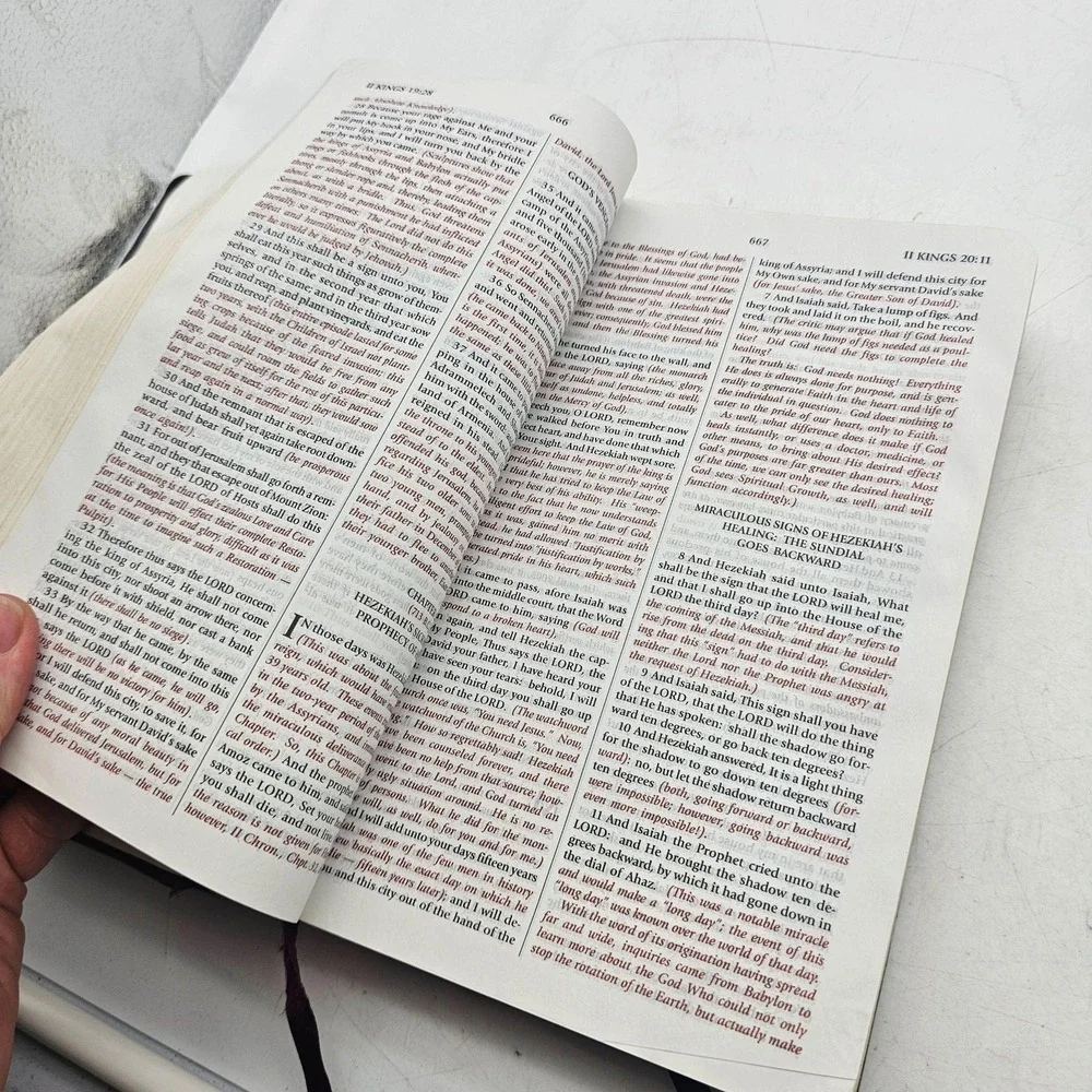 The Expositor's Study Bible King James Version Jimmy Swaggart 2010 HC Sheepskin
